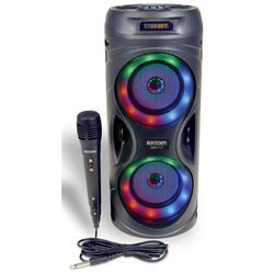 cumpără Giga sistem audio Bontempi 491040 Set karaoke cu microfon, lumina si displey, cod 60768 în Chișinău 
