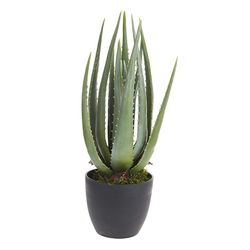 купить Искусственное растение Promstore 55244 Aloe, 45cm, in ghiveci в Кишинёве 