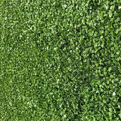 купить Искусственная изгородь Tenax 17211 Boxwood 100x100cm в Кишинёве 