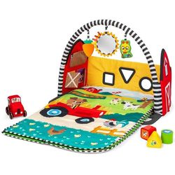 купить Коврик игровой Baby Einstein 17327 Exploratorii Fermei, Busy Barnyard, 4in1 в Кишинёве 