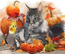 Котик и попугай на Хэллоуин