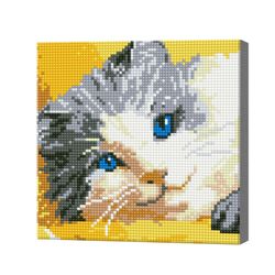 Голубоглазый котик, 20x20 см, алмазная мозаика