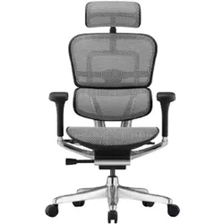 купить Офисное кресло ART Ergohuman Elite 2 BL Natural T-168-B2 EHE2-AB-HAM-5D-L в Кишинёве 
