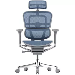 купить Офисное кресло ART Ergohuman Elite 2 Cobalt T-168-B4 EHE2-AG-HAM-5D-L в Кишинёве 