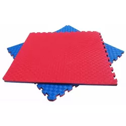 cumpără Saltea sportivă Arena 8724430 будомат 100x100x3cm, 2-х цветный în Chișinău 