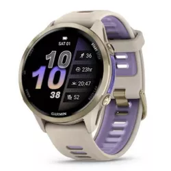 купить Смарт часы Garmin Forerunner 970 French grey/Translucent Indigo (010-02969-12) в Кишинёве 