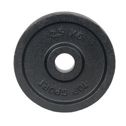 Disc metal 2.5 kg, d=30 mm Top Sport 22348 (4294) inSPORTline