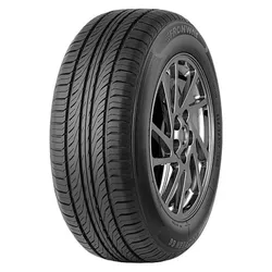 купить Шина Fronway 225/65 R16 100T ECOGREEN 66 (2EFW328F) в Кишинёве 