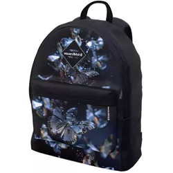купить Детский рюкзак Erich Krause 63000 EasyLine Glass Butterflies Touch 17L в Кишинёве 
