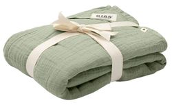 купить Аксессуар для пеленания BIBS 9402250 Paturica de muselina Swaddle Sage, 120x120cm в Кишинёве 