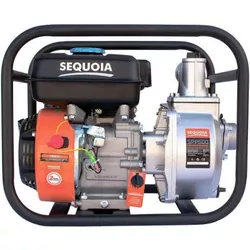 cumpără Pompă Sequoia SPP600 600l/min în Chișinău 