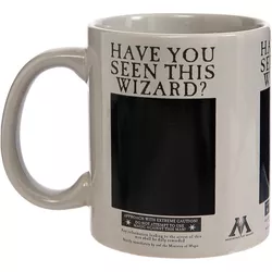 cumpără Cană Pyramid International SCMG25012 HARRY POTTER (WANTED SIRIUS) HEAT CHANGE MUG în Chișinău 