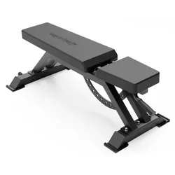 купить Скамья для силовых упражнений inSPORTline 9918 Banca ajustabila X-NT FB10 (Max Load 350kg) IN27231 в Кишинёве 