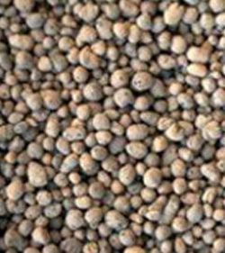 10-20 mm Argilă Expandată (Cheramzită)