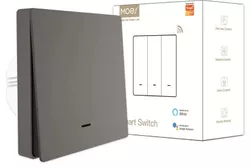 cumpără Întrerupător electric Moes ZS-SR-EU1-GY-MS în Chișinău 