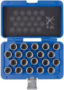 cumpără Set de tubulare, bite, duze King Tony 9BW0220 головки для секреток BMW, 20 предметов în Chișinău 