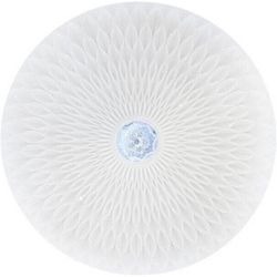 купить Освещение для помещений Horoz RADIUS, 48W (027-012-0048) в Кишинёве 