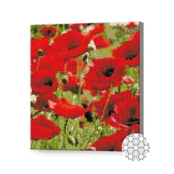 купить Картина по номерам Art Gallery GB86100 Mozaic cu diamante 30x40cm Maci rosii в Кишинёве 