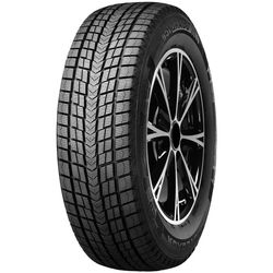 купить Шина Roadstone WG Ice SUV 235/60 R-18 103 Q в Кишинёве 