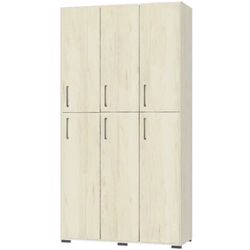 купить Офисный шкаф Tisam Шкаф 6-ти дверный для одежды 1059х405х2025 (6610) в Кишинёве 