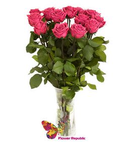 Букет из 11 роз цвета Фуксия -70-80 см