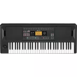 купить Цифровое пианино Korg EK-50 в Кишинёве 