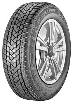 купить Шина GT Radial 195/60 R15 88T WinterPro2 (EVO) в Кишинёве 