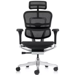 cumpără Fotoliu de birou ART Ergohuman Elite 2 Black T-168-B1 EHE2-AB-HAM-5D-L în Chișinău 