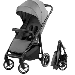 купить Детская коляска Hauck Shop N Care Grey в Кишинёве 