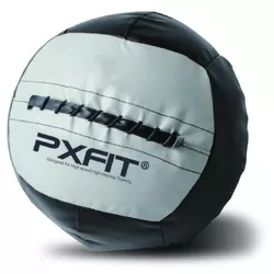 cumpără Minge PX Sport 15540 Wall Gym Ball 10kg, BL023-10 în Chișinău 
