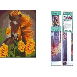 купить Картина по номерам Strateg 57291 Mozaic cu diamante 30x40cm Voința в Кишинёве 