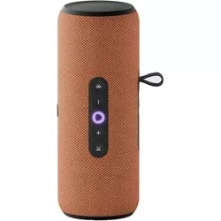 cumpără Boxă portativă Bluetooth Yandex YNDX-00030ORG Alisa Station Street Orange în Chișinău 