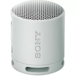 купить Колонка портативная Bluetooth Sony SRSXB100H в Кишинёве 