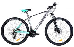 cumpără Bicicletă Crosser X880 29" 17 21S Shimano+Logan Hidraulic Grey/Green N1R6-R3 în Chișinău 