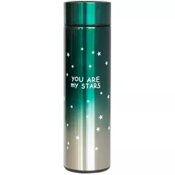 купить Термос для напитков miscellaneous 4164 Sticla-termos cu indicarea temperaturii 500 ml 1912-1014 в Кишинёве 