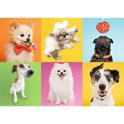 купить Пазл Trefl 37378 Puzzle 500. Ciinisorii в Кишинёве 
