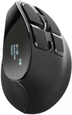 cumpără Mouse Trust VOXX Wireless Black în Chișinău 