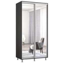 купить Шкаф Mobildor-Lux Aron-S uși glisante din oglinzi (100x60x210H cm) Anthracite в Кишинёве 