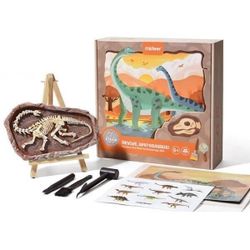 купить Игрушка Mideer MD0177 Setul micului arheolog Revelarea Apatosaurului в Кишинёве 