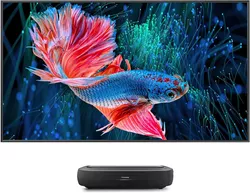 cumpără Proiector Hisense 100L9HD în Chișinău 