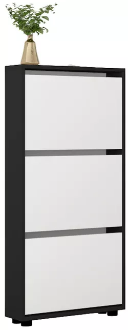 купить Полка для обуви Mobildor-Lux Leo Slim 50x16x125H cm Anhracite/White в Кишинёве 