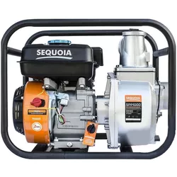 купить Насос Sequoia SPP1000 1000l/min в Кишинёве 