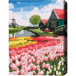 купить Картина по номерам BrushMe BS52716FC 40х50 сm (fără cutie) Provincia olandeză в Кишинёве 