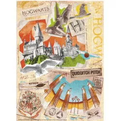 купить Головоломка Dodo 200503 Puzzle Hogwarts și terenul de Quidditch, seria Harry Potter, 450el в Кишинёве 