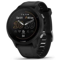 купить Смарт часы Garmin Forerunner 955 Black (010-02638-30) в Кишинёве 