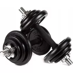 купить Гантель Zipro Iron Dumbbell Set 2x10kg в Кишинёве 