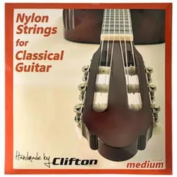 cumpără Coarda pentru instrument muzical Clifton Golden Ton Classical String Set în Chișinău 