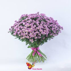 Crizantema arbust mini roz pret/buc