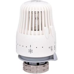 купить Аксессуар для систем отопления miscellaneous Cap termostatic cu lichid M30x1.5 PF в Кишинёве 