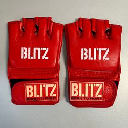 Перчатки MMA L Blitz Pro Club A2 57-20 (9354)